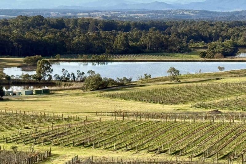 Panoramic view from Audrey Wilkinson Winery over Hunter Valley vineyards stretching to distant mountain ranges.