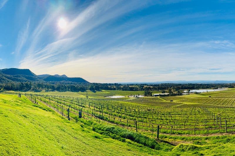 Hunter Valley Wine Tour Full Day — From Sydney