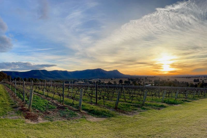 Private Hunter Valley wine tour from Sydney featuring boutique vineyards and cellar door tastings (29)
