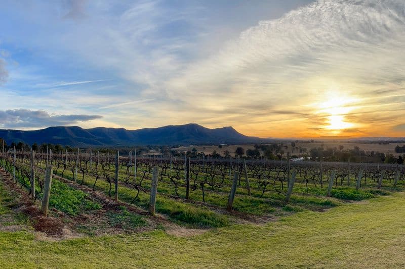 Hunter Valley Wine Tour Full Day — from Hunter