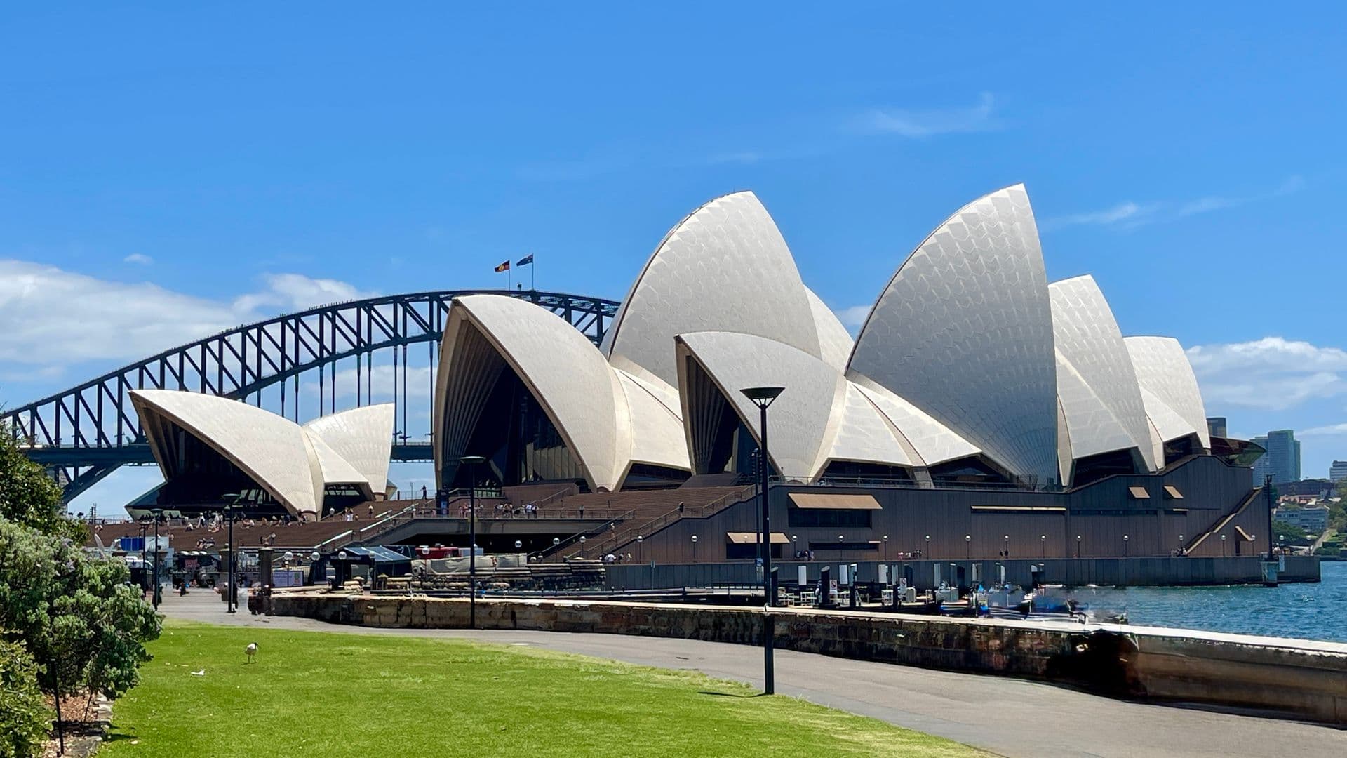 Sydney Opera House with Harbour Bridge behind under a clear blue sky on a bright sunny day