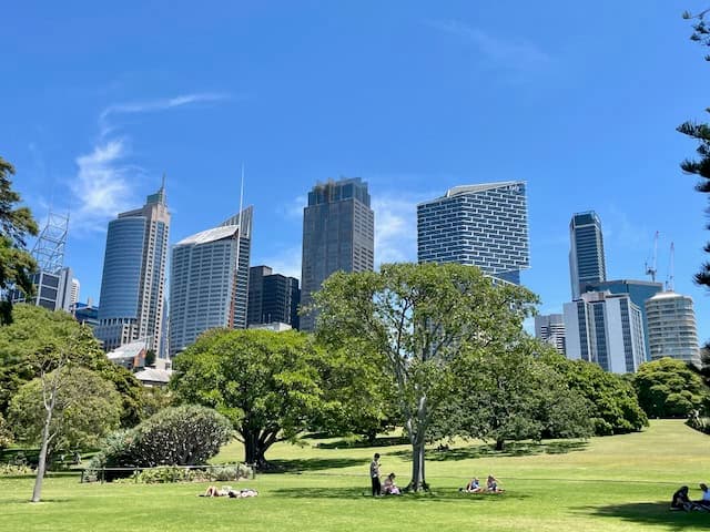Sydney city skyline viewed from Royal Botanic Garden near Government House, framed by lush green trees and lawn foreground
