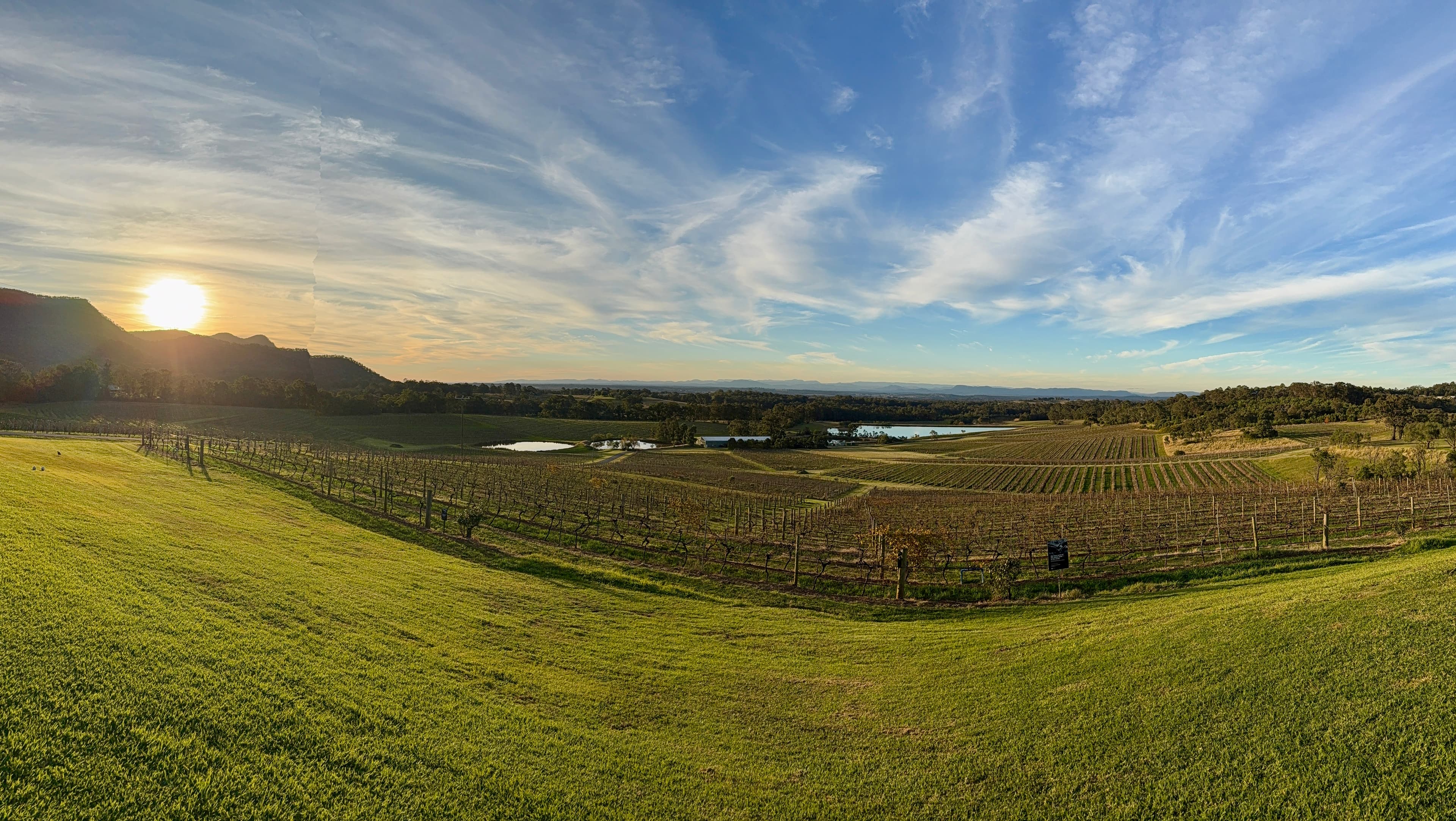 Private Hunter Valley wine tour from Sydney featuring boutique vineyards and cellar door tastings (111)